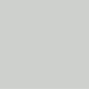 Gray EX-994