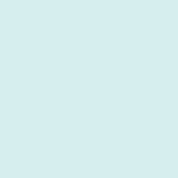 Slate Blue EX-998