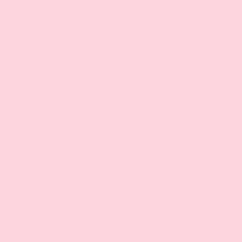 Soft Pink EX-999
