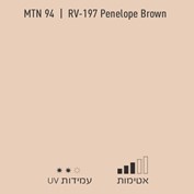 MTN 94 RV 197 Penelope Brown