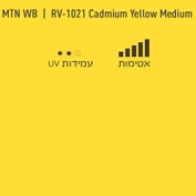 MTN WB RV 1021 Cadmium Yellow Medium