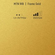 MTN WB Frame Gold