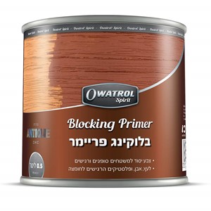 בלוקינג פריימר