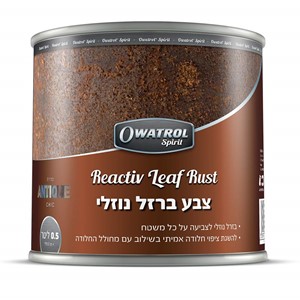 צבע ברזל נוזלי